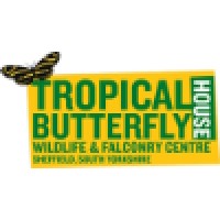 Tropical Butterfly House, Wildlife & Falconry Centre Logo