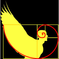 Humans In Flow® Logo