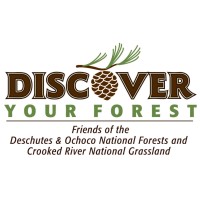 Discover Your Forest Logo