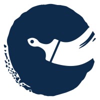 Cavelight Studio Logo