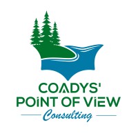 Coadys Point of View Consulting Logo