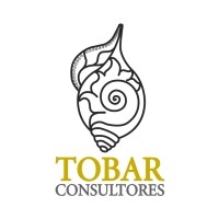 Tobar Consultores Logo