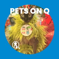 Pets on Q Logo
