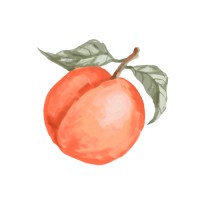 Nick Exaltação Logo