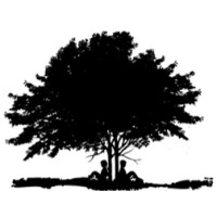 DS Strategic Solutions Logo