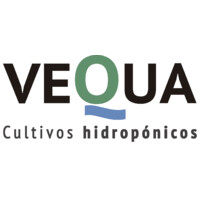 Vequa Logo