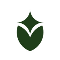 Green Sparkle Logo