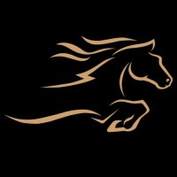 Bronco Transportation Services LLC Logo