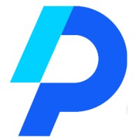 Panzi Digital Agency Logo