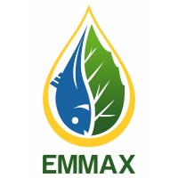 EMMAX PERU Logo