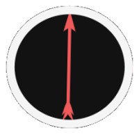 The Red Arrow Group, PLLC Logo