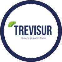 Trevisur s.a. Logo