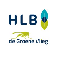 HLB Group Logo