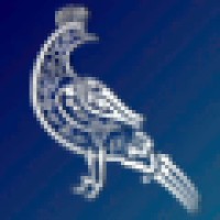 Haydar Net Logo