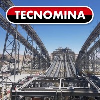 TECNOMINA Logo