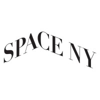 Space NY Consulting Logo
