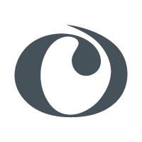 Chapman & Co. Leadership Institute Logo