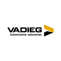 VADIEG S.A. Logo