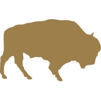 The Dakota Foundation Logo
