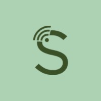 NOVO SENSO Logo
