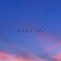 songy LLC Logo