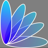 MAPS Management and Professional Services Logo