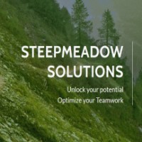 Steepmeadow Solutions LLC Logo