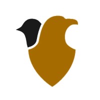 The Judge Frank M. Johnson, Jr. Institute Logo