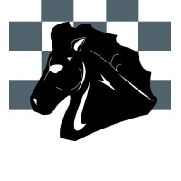 Paladin Advisor Group Logo