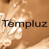 Templuz Logo