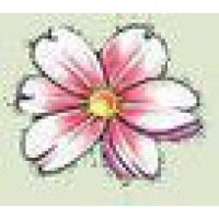 All About You Skin Care Logo