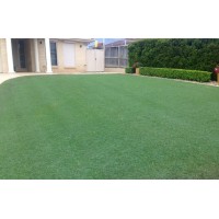 Lawn and Order Logo