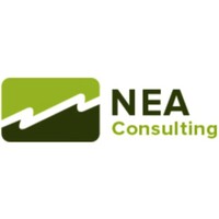 NEA Consulting Inc Logo