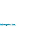 Schuepfer Inc Logo