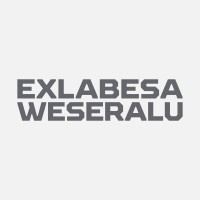 WESERALU GmbH & Co. KG Logo