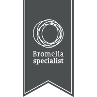 Bromelia Specialist Logo