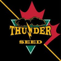 Thunder Seed Inc. Logo