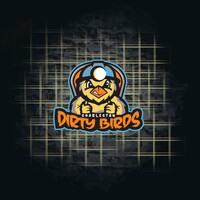 Charleston Dirty Birds Logo