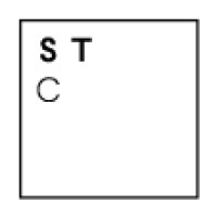 Sonsino Turcan Limited Logo