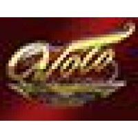 Visual Inventions Logo