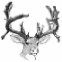 Franklin Accounting & Tax Service Logo