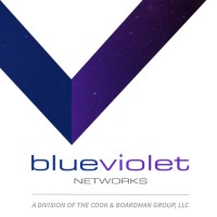 BlueViolet Networks Logo