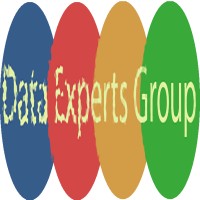 Data Experts Group Logo