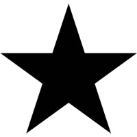★Stern Consulting Logo