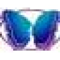 Bruce Borkosky Logo