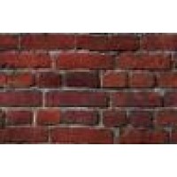 Case Of Champions Logo