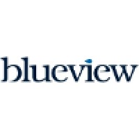 Blueview Group Ltd. Logo