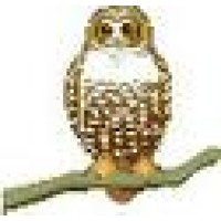 Country Owl Studio Logo
