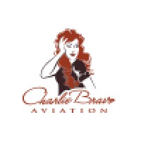 Charlie Bravo Aviation Logo