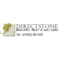 DirectStone Ltd Logo